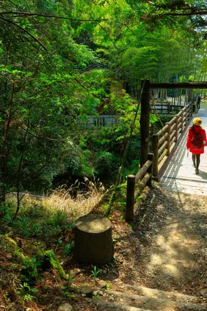 Randonnée sur le Kumano Kodo