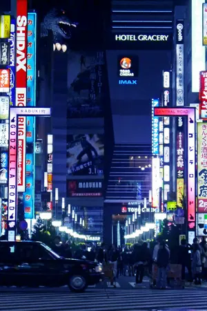 otsuki to tokyo shinjuku train tickets otsuki to tokyo shinjuku train tickets