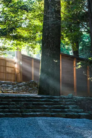 Les premiers rayons du soleil sur le sanctuaire d'Ise Jingu, département de Mie