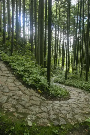 Nakasendo Trail, Kiso Valley