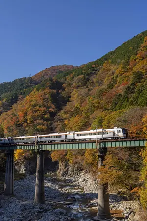 Limited Express Hida Limited Express Hida