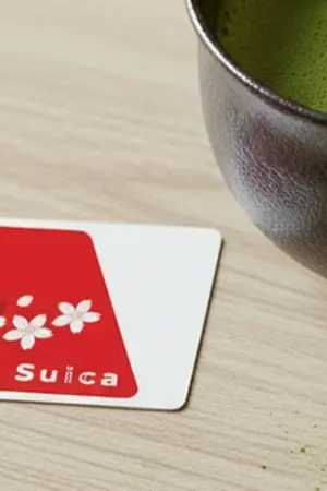 Welcome Suica card