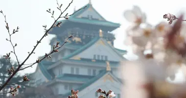 Temple