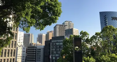 Trees in front of high buildings in Akasaka in Tokyo 