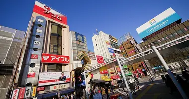 Buildings with shops and store around Nakano Broadway