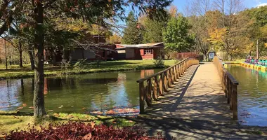 Bridge over the lake to wooden buidlings with a tree in the foreground. 