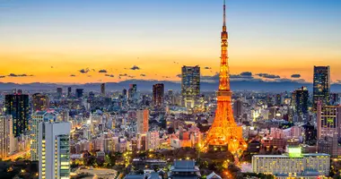 Le soleil se couche sur la tour de Tokyo et sur la mégalopole japonaise