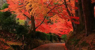 Chuson-ji-Tempel in Hiraizumi - UNESCO-Weltkulturerbe