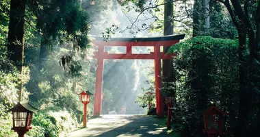 bus tours in japan