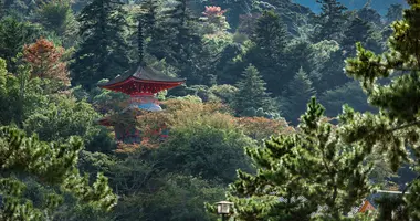 Temple et pagode japonaise perdus dans la forêt de l'île artistique de Naoshima