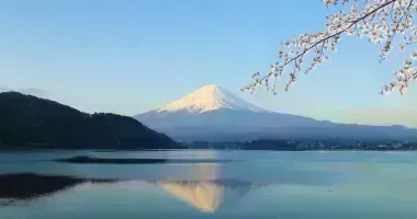 Monte Fuji durante la fioritura dei ciliegi (Sakura)