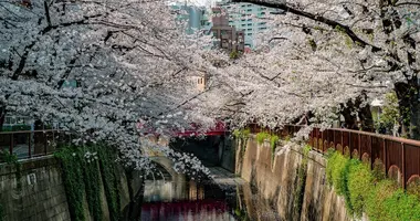 Meguro
