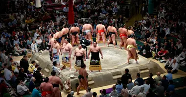 Sumo