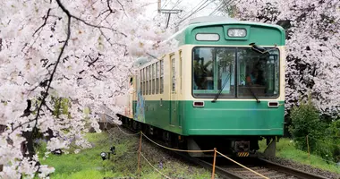 Imaginez que vous prenez le train avec les cerisiers en fleurs...