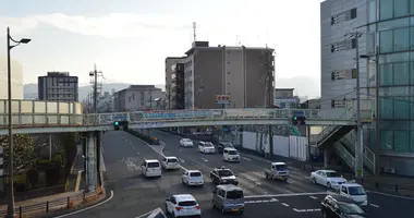 Crossing in Japan