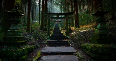 Torii Gates