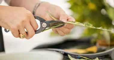 Ikebana workshop