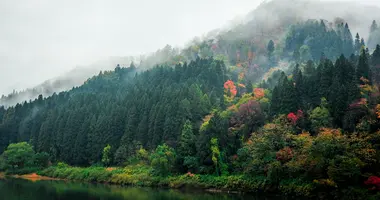Paysage de rivière, de forêt et de montagne