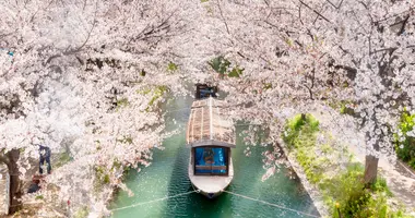 Le chemin de la philosophie au printemps à Kyoto