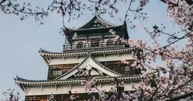 hiroshima castle park sakura cherry trees flowers spring