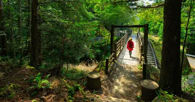 Trekking in Kumano Kodo