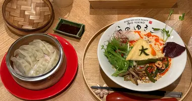 Soy Milk Ramen and dumplings at Uno Yukiko 