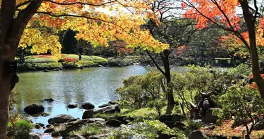 Showa Kinen Koen, Tokyo