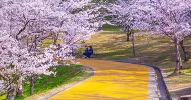 Nishi Koen (Fukuoka)