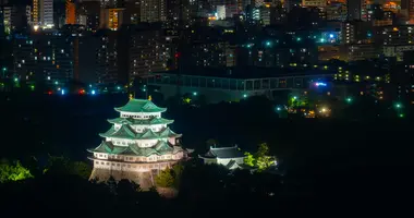 Nagoya Castle at night