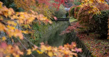 Chemin de la philosophie en automne