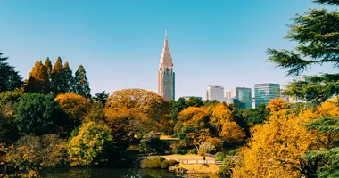 Shinjuku Gyoen en automne