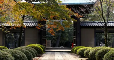 Le temple Gotoku-ji a pu être érigé par grâce à un chat qui aurait sauvé la vie d'un noble. Depuis, le manekineko est l'une des figure du Japon.