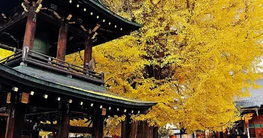 Un tempio sotto le foglie gialle d&#39;autunno in Kukubunji a Takayama.