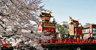 Desfile de carrozas bajo los cerezos en flor durante el Sannō Matsuri en Takayama