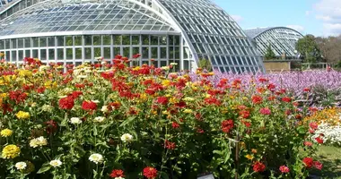 Kyoto Botanical Garden si estende su 24.000 metri quadrati e ospita più di 12.000 diverse varietà di piante.