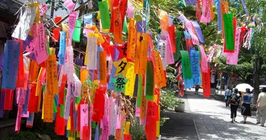 Los deseos se cuelgan de ramas de bambú durante el festival de Tanabata