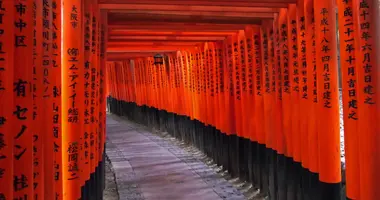 Torii of Fushimi Inari Taisha