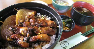 Hiroshima oysters kakidon