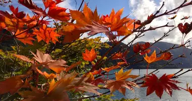 Les feuilles rougeoyantes de l'automne au bord du lac Chuzenji, à Nikko.