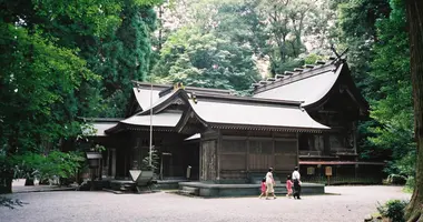 Le sanctuaire Takachiho-jinja, au milieu d'une forêt de cèdres centenaires.