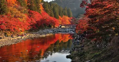 La impresionante vista del puente Taigetsukyo y los arces de  Korankei.