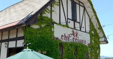 Al-ché-cciano