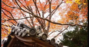 Le temple Jingo-ji à Takao