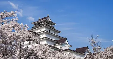 Le château d'Aizu au printemps, entouré de fleurs de cerisier