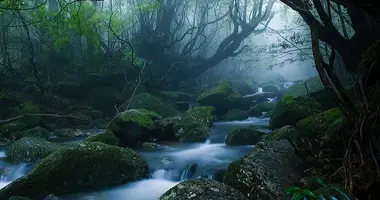 Yakushima