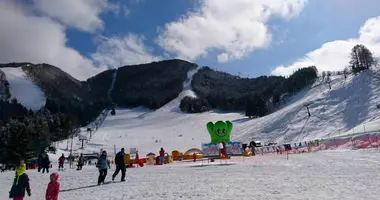 Station de ski de Nozawa Onsen Snow Resort