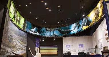 salle-hokkaido-museum