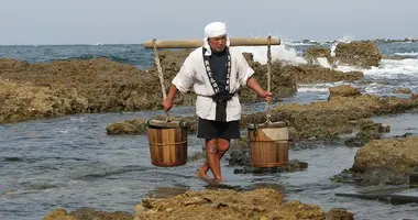 Un saunier en plein travail