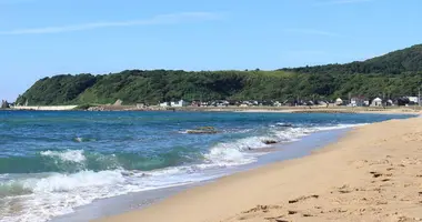 plage-kotogahama