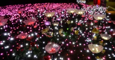 Quand les lumières se mêlent aux fleurs